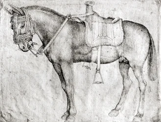 Mule, de l